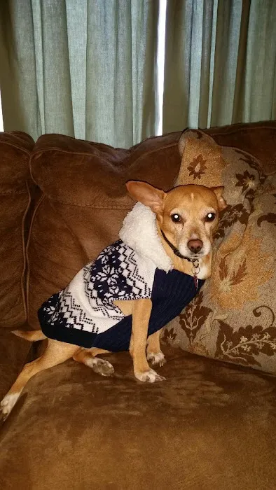 Tidewater Animal Hospital Picture 10