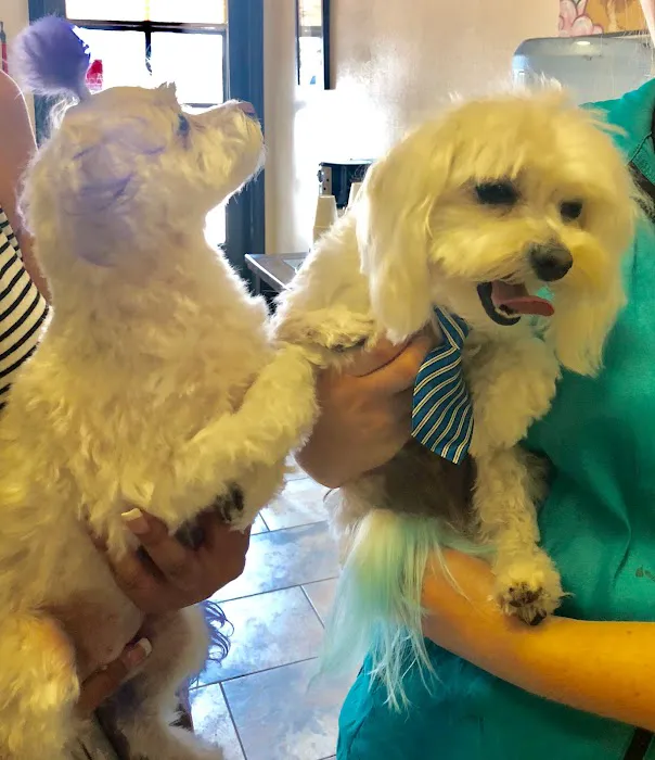All Creatures Veterinary Center Picture 2