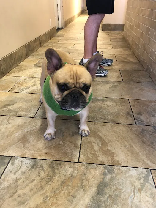 All Creatures Veterinary Center Picture 1