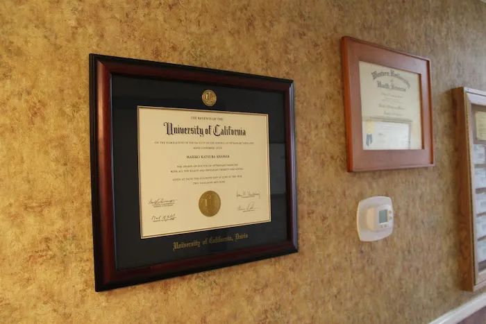 Dr Jennifer Adelini Picture 4