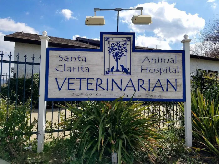 Santa Clarita Animal Hospital Picture 7