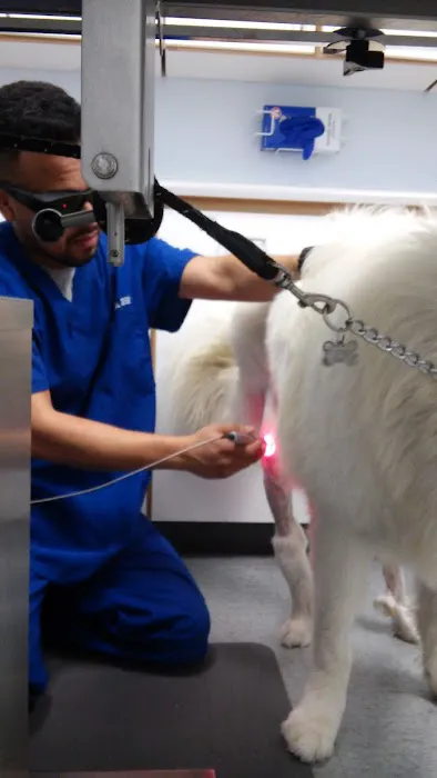 Animal Medical Center Picture 8