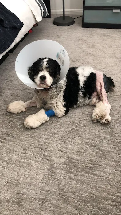 Pinnacle Veterinary Center Picture 1