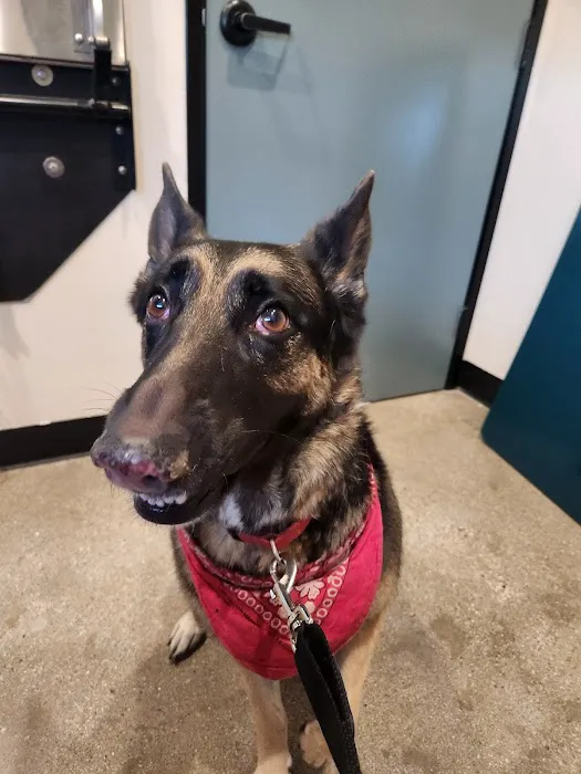Pinnacle Veterinary Center Picture 6