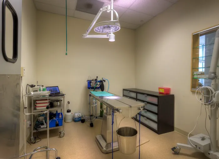 Cinema Veterinary Centre Picture 7