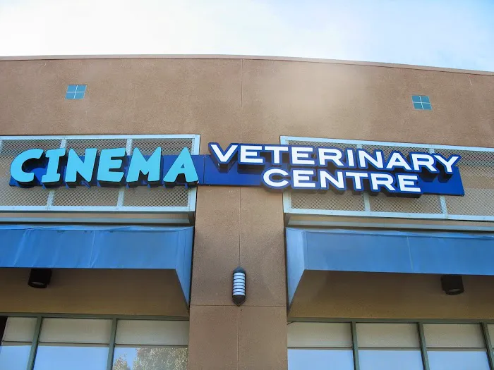 Cinema Veterinary Centre Picture 9