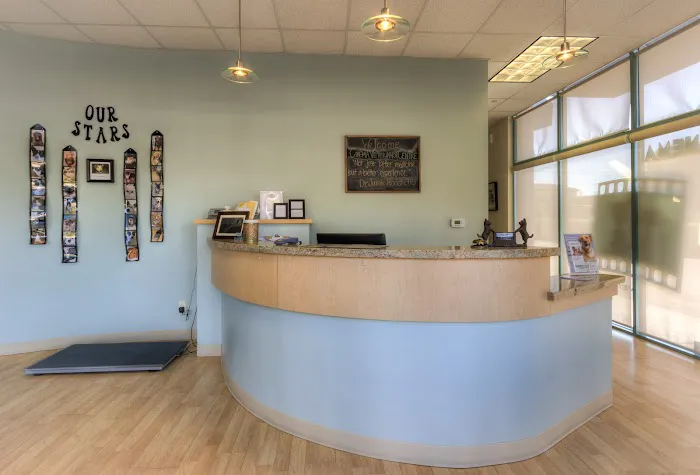 Cinema Veterinary Centre Picture 6