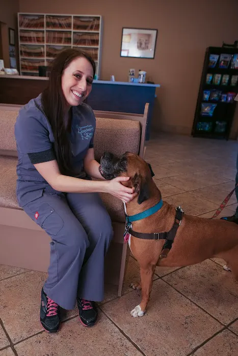 Stevenson Ranch Veterinary Center Picture 2