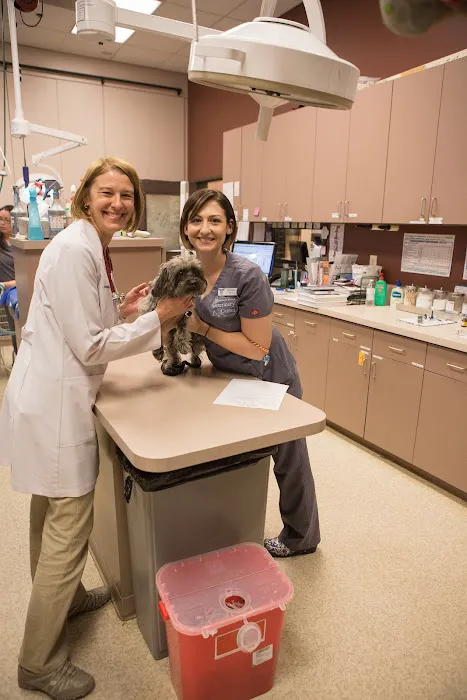Stevenson Ranch Veterinary Center Picture 8