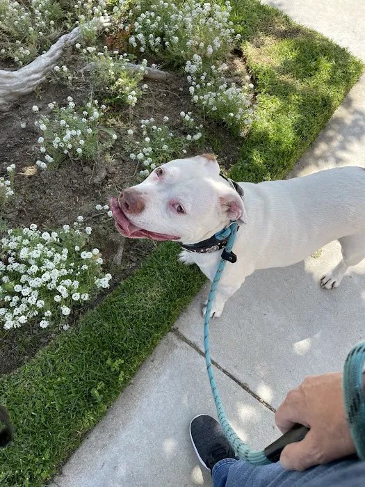 Canyon Country Animal Hospital Picture 3