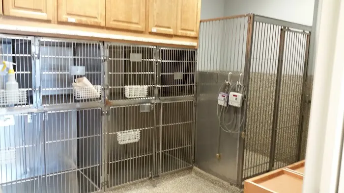 Canyon Country Animal Hospital Picture 6