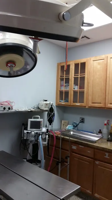 Canyon Country Animal Hospital Picture 8