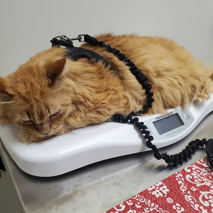 Vetco Total Care Animal Hospital Picture 1