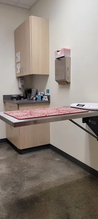 Vetco Total Care Animal Hospital Picture 3