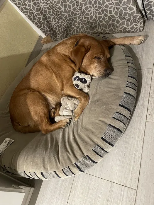 Cozycroft Pet Hospital Picture 6