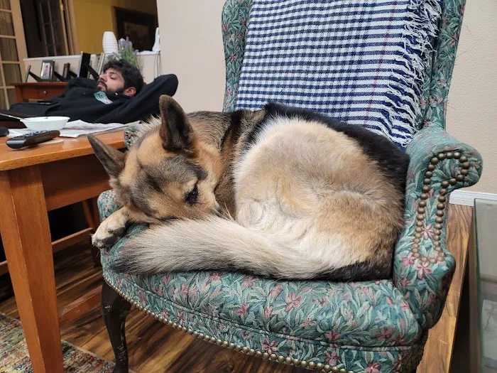 Cozycroft Pet Hospital Picture 9