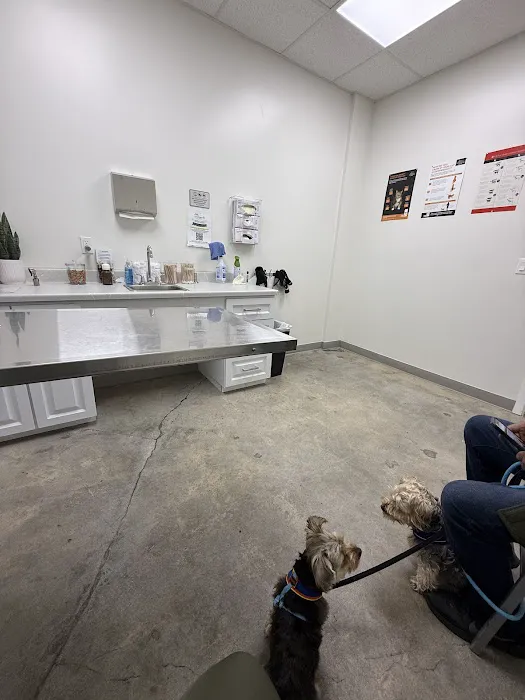 Foothill Vet Clinic at Canoga Park Picture 1
