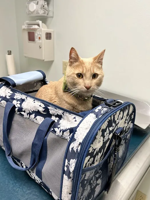 Nordhoff Veterinary Hospital Picture 5