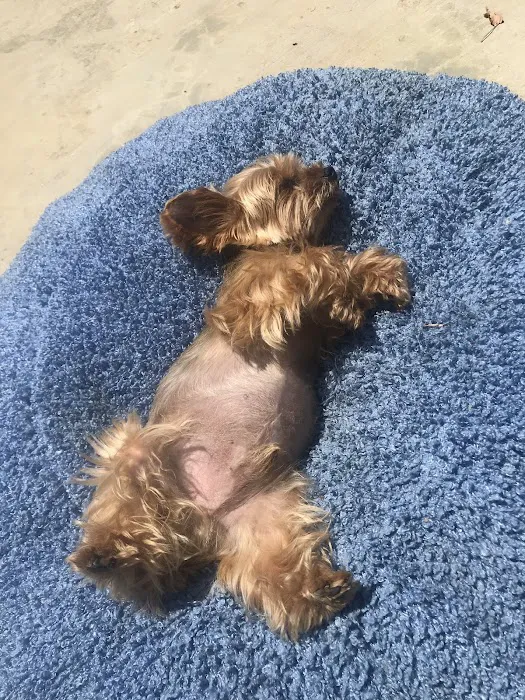 Nordhoff Veterinary Hospital Picture 7