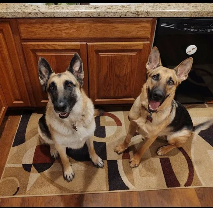 Nordhoff Veterinary Hospital Picture 8
