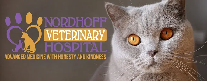 Nordhoff Veterinary Hospital Picture 10