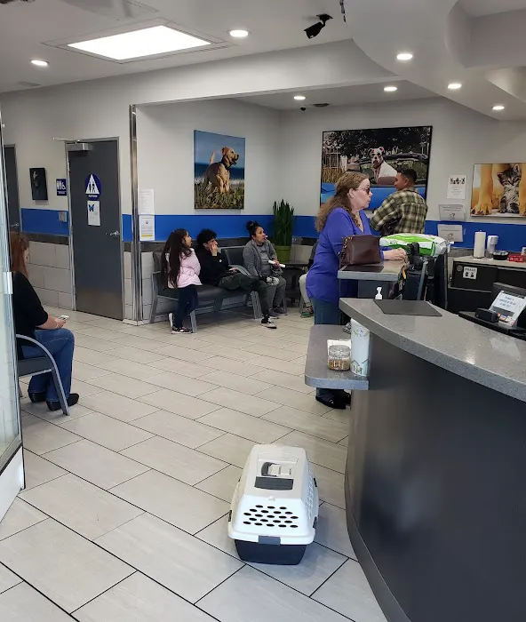 Value Vet Canoga Park Picture 6