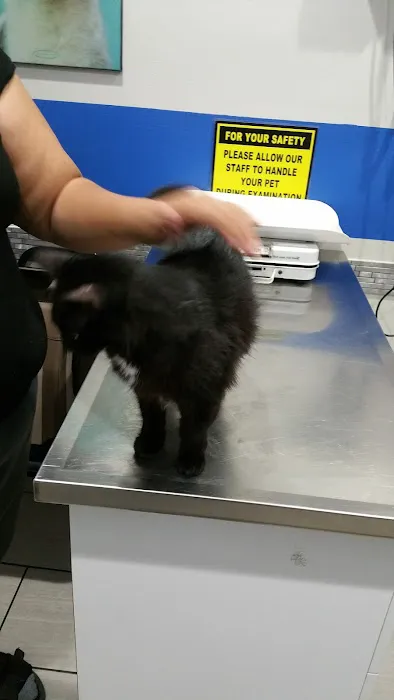 Value Vet Canoga Park Picture 7