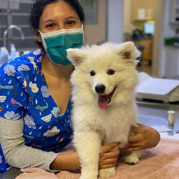 VCA Chatsworth Veterinary Center Picture 5