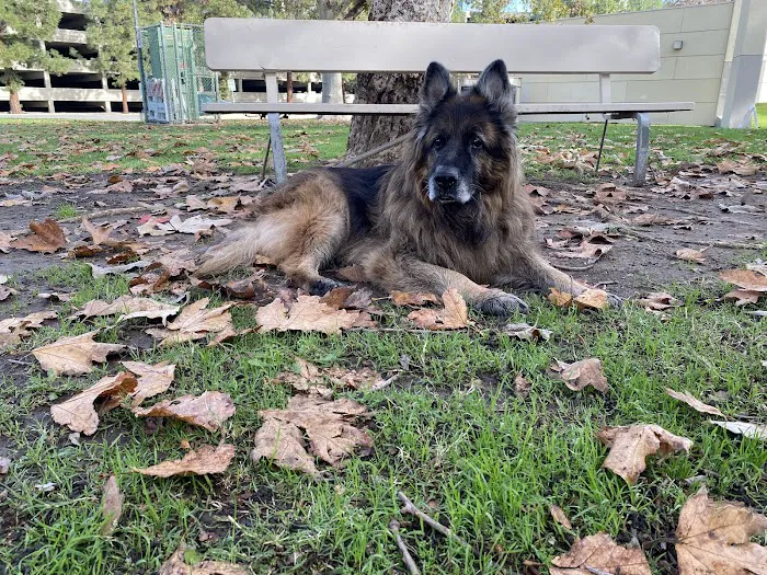 Gemcore Veterinary Services Picture 7