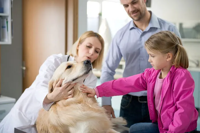 Gemcore Veterinary Services Picture 6