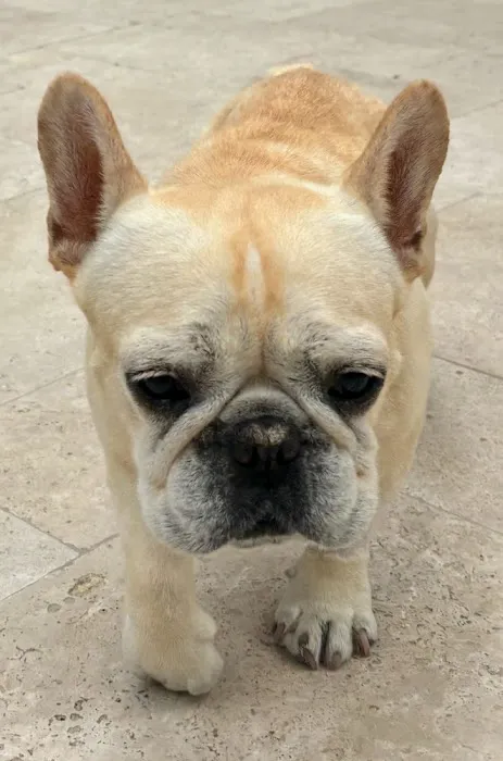 Topanga Veterinary Clinic Picture 2