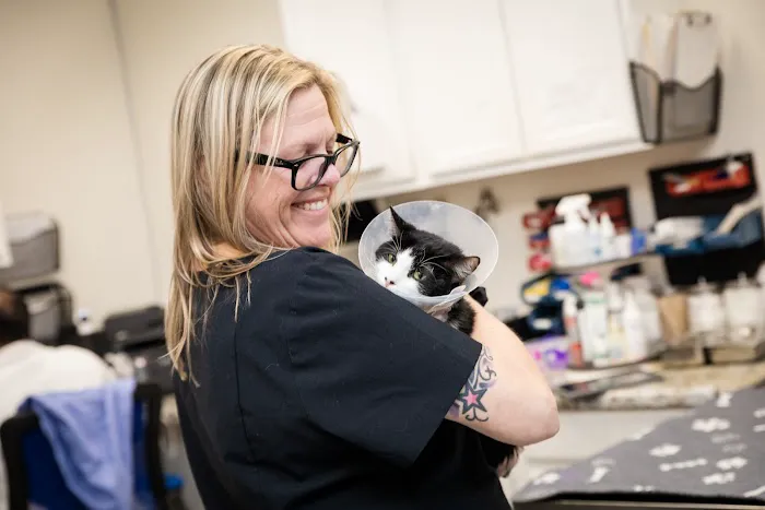 Topanga Veterinary Clinic Picture 6