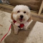 Vanderhoof Veterinary Hospital