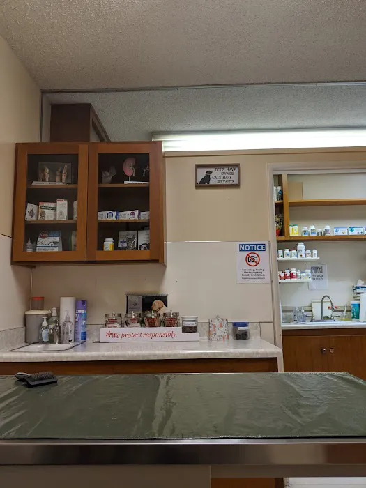 Altadena Pet Hospital Picture 6