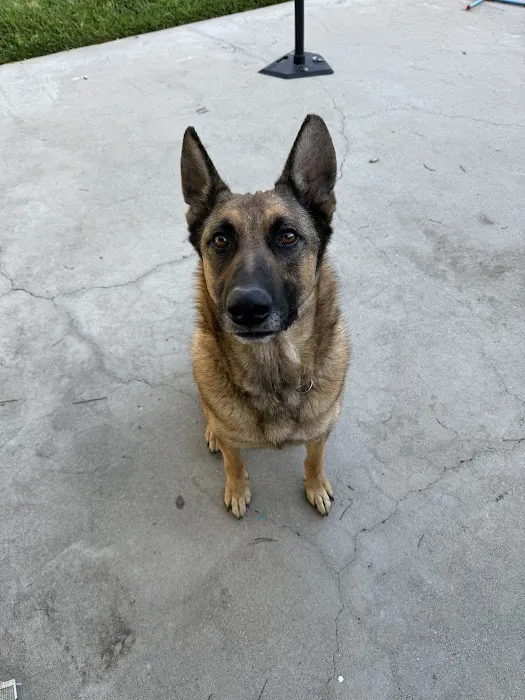 Altadena Pet Hospital Picture 5