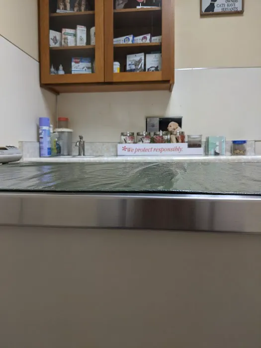 Altadena Pet Hospital Picture 8