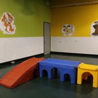 Warner Center Pet Clinic: Jackson Debra DVM ico