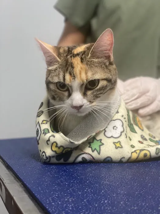 Warner Center Pet Clinic Picture 6