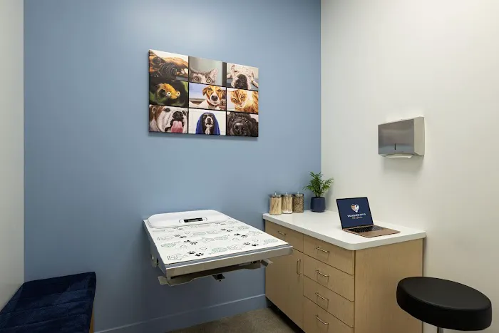 Woodland Hills Pet Clinic Picture 8