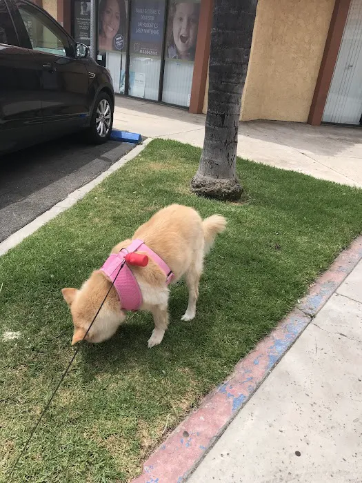 Canoga Park Veterinary Center Picture 5
