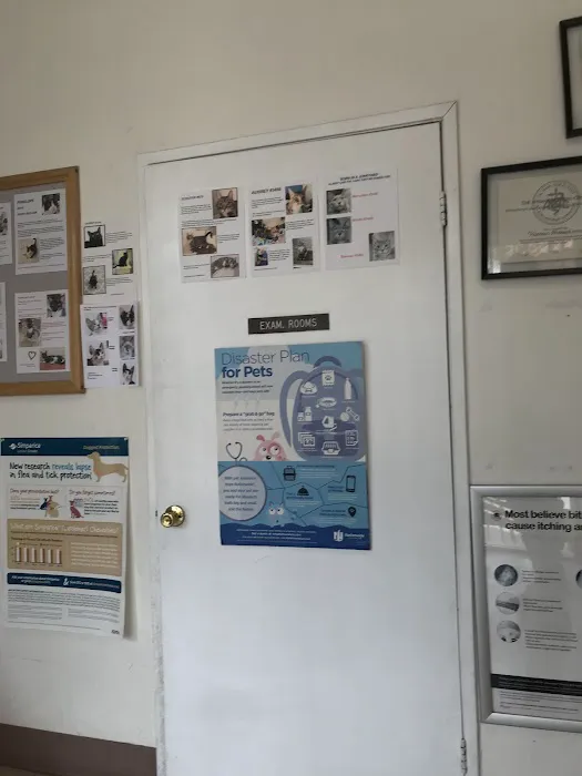 Canoga Park Veterinary Center Picture 8