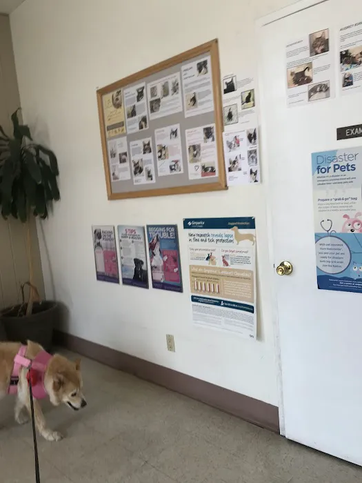 Canoga Park Veterinary Center Picture 10