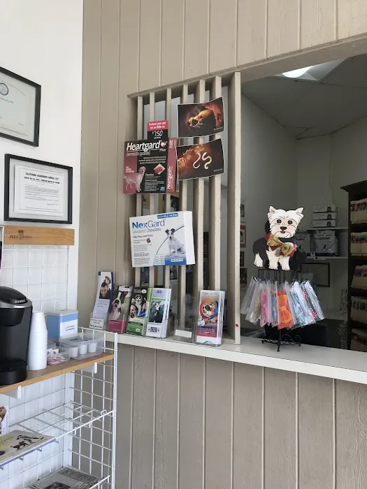 Canoga Park Veterinary Center Picture 9