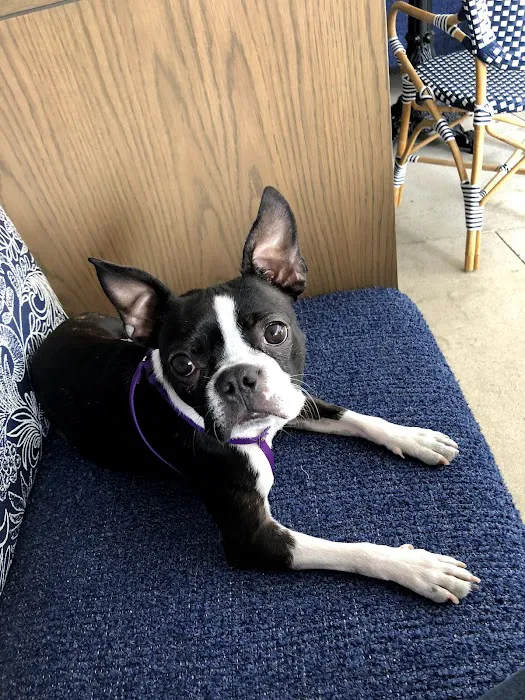 Archibald Pet Hospital Picture 10
