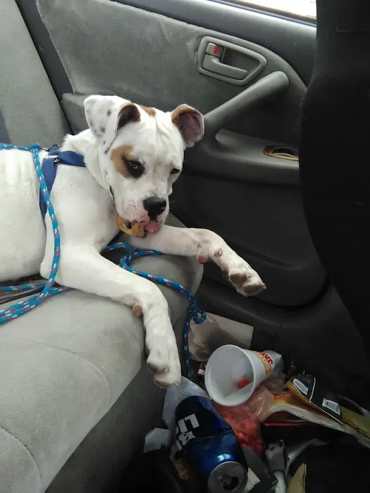 Banfield Pet Hospital Picture 2