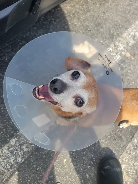 Banfield Pet Hospital Picture 6