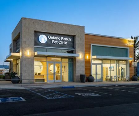 Ontario Ranch Pet Clinic