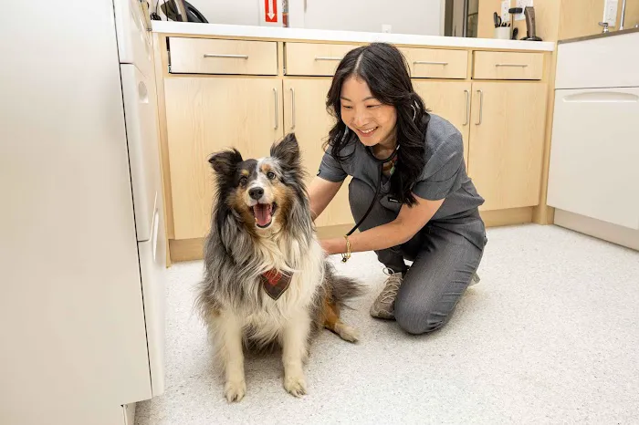 Ontario Ranch Pet Clinic Picture 10