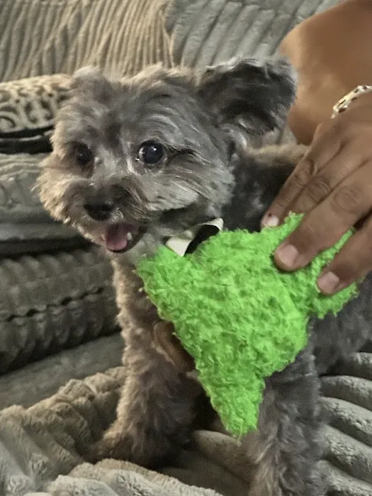 Banfield Pet Hospital Picture 3