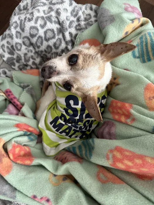 Banfield Pet Hospital Picture 7